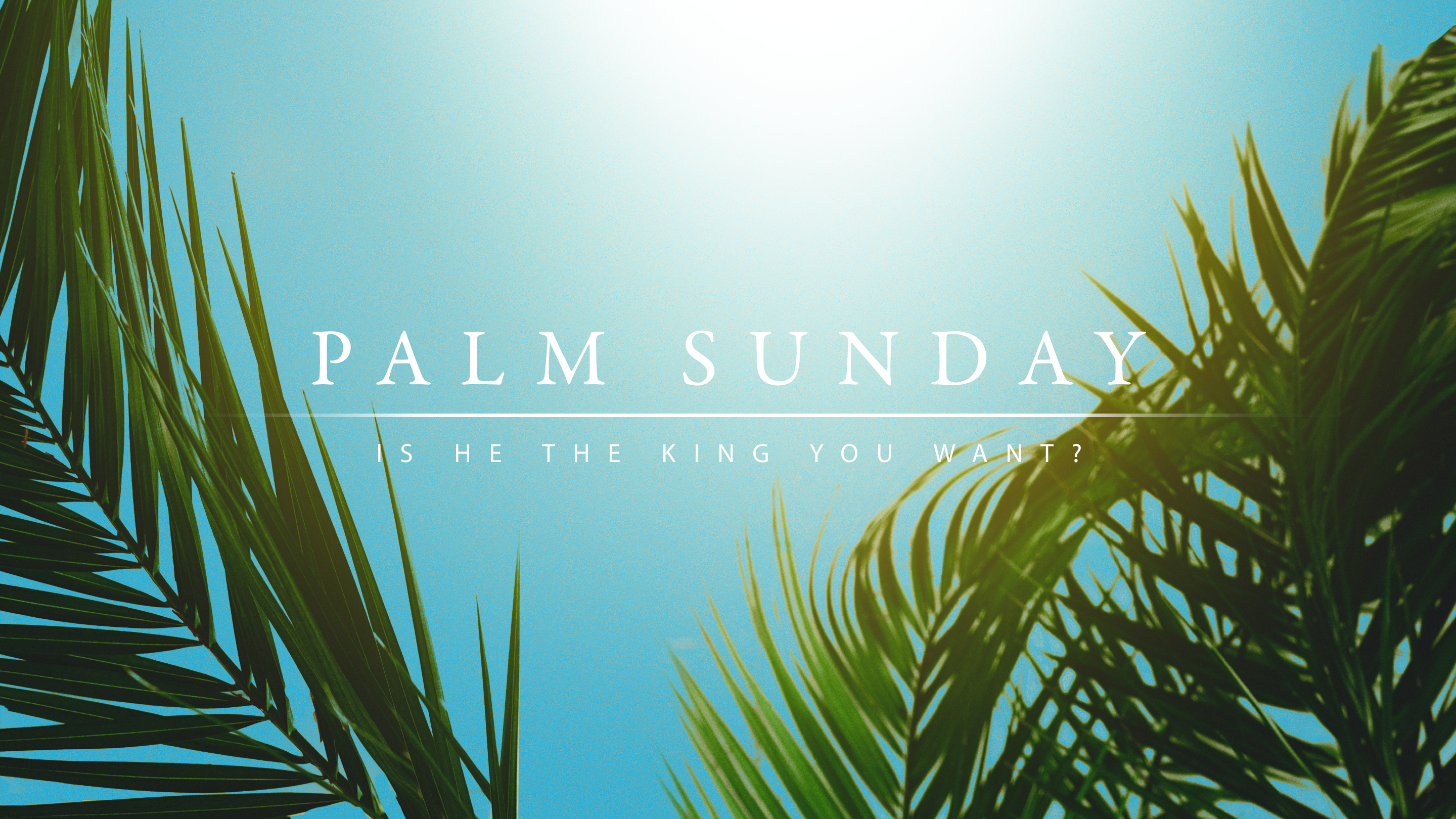 The Politics Of Peace – Palm Sunday