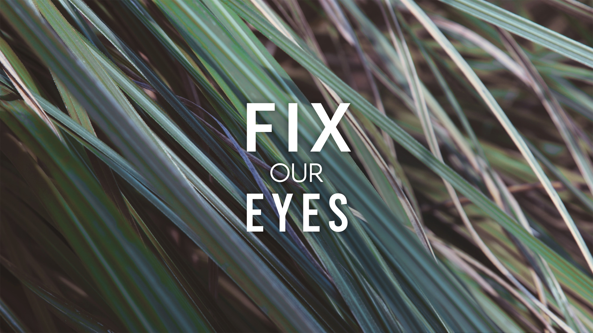 Fix Our Eyes