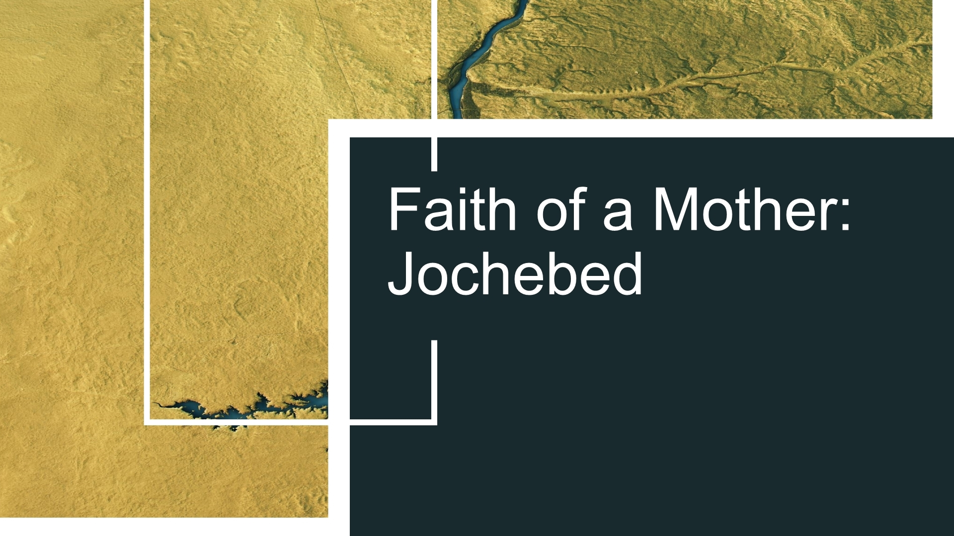 Faith of a Mother: Jochebed